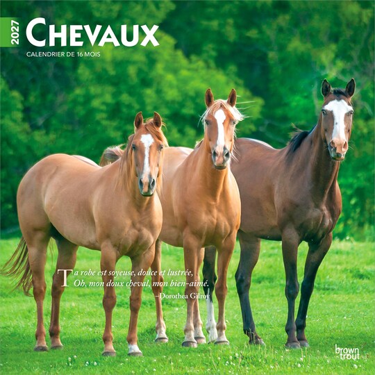 BrownTrout; Chevaux | 2027 12 x 24 Inch (Hanging) Monthly Square Wall Calendar | French Language; Category:Wall Calendars; Image:1